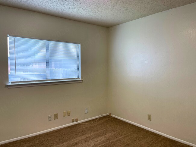 Building Photo - Charming 3 Bedroom Home with Fireplace in Meadow Brook Converse