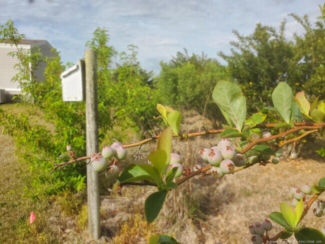 Building Photo - 1992 Henry Hammond Rd
