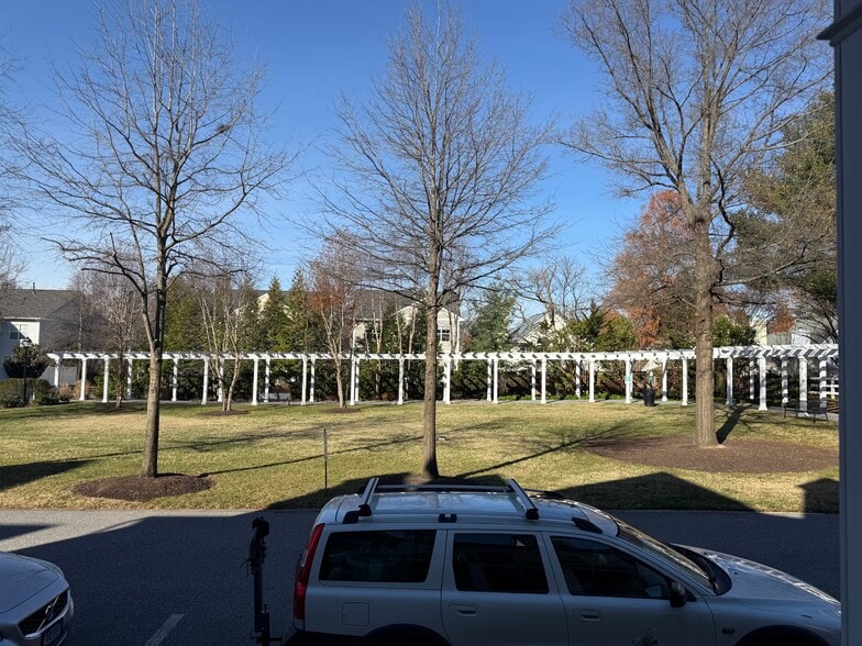 Dog park area - 20 Boucher Pl