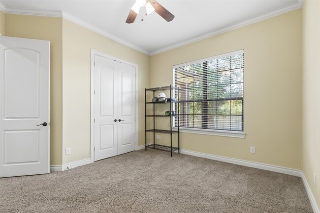 Building Photo - 914 Quintana Roo Pl