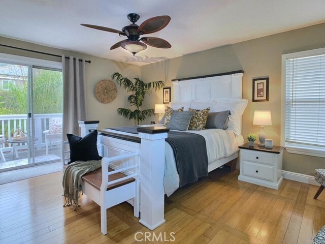 Building Photo - 1242 Avenida Amistad