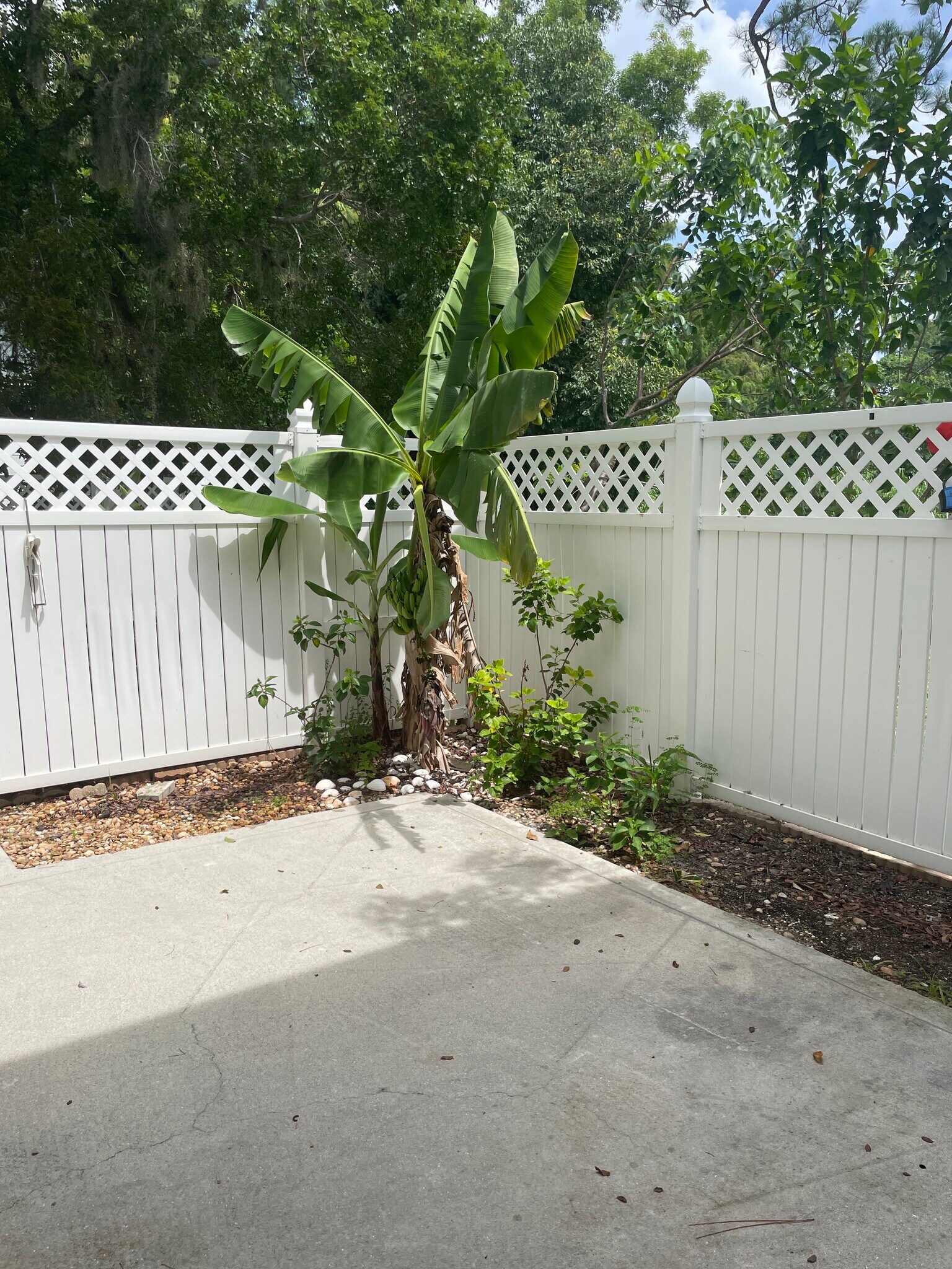 Building Photo - 7724 Tamara Lee Ct
