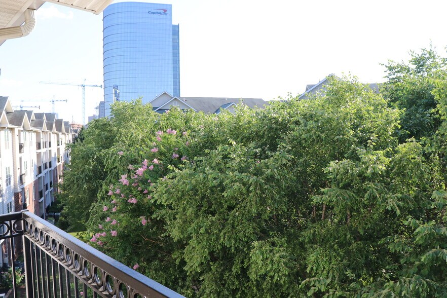 View from Balcony - 1570 Spring Gate Dr