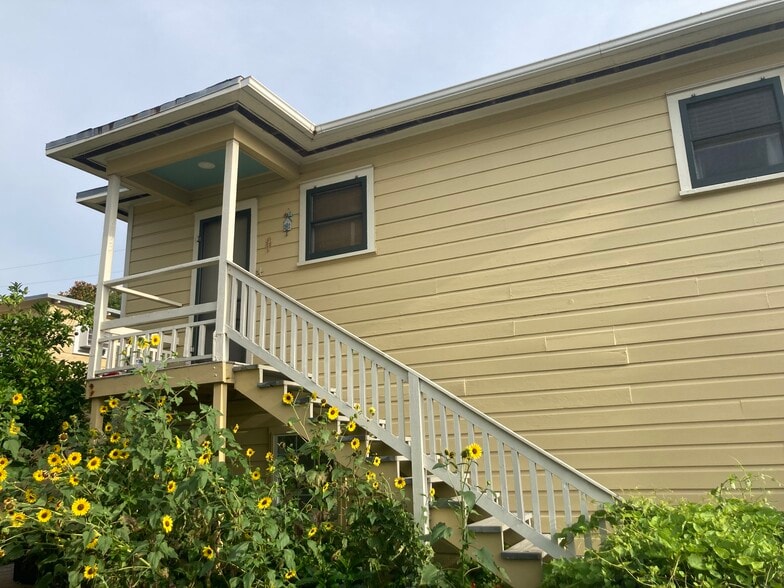 Sunflowers in the garden - 613 12th St