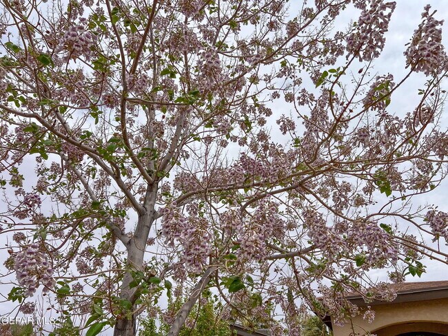 Building Photo - 1316 Hookridge Dr