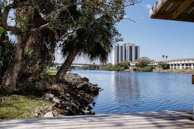 Building Photo - WATERFRONT RENTAL on Hillsborough River!  ...