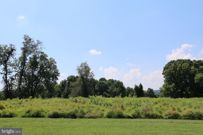 Building Photo - 1705 Mountainview Dr