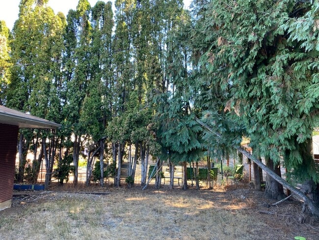 Building Photo - r115/119vDuplex