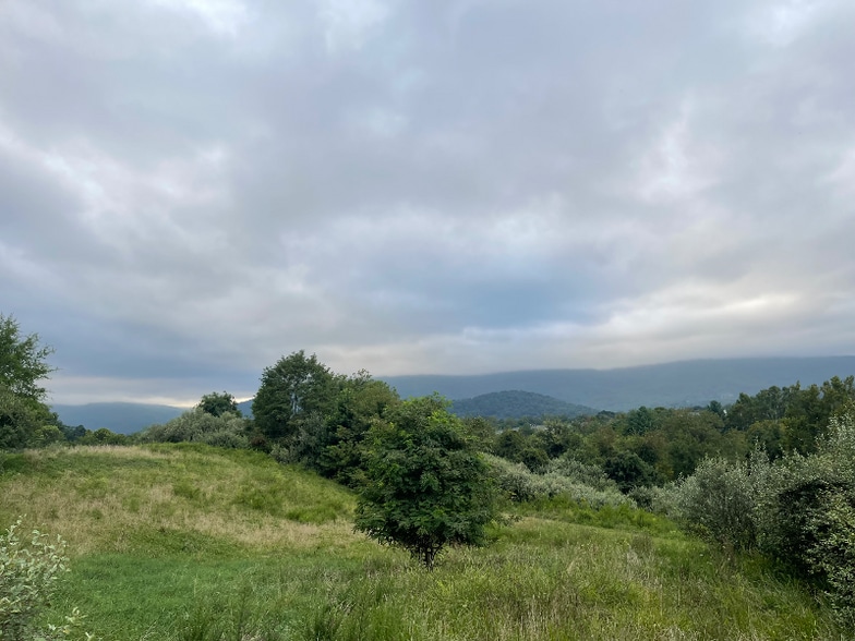 Building Photo - 1015 Heathercroft Cir