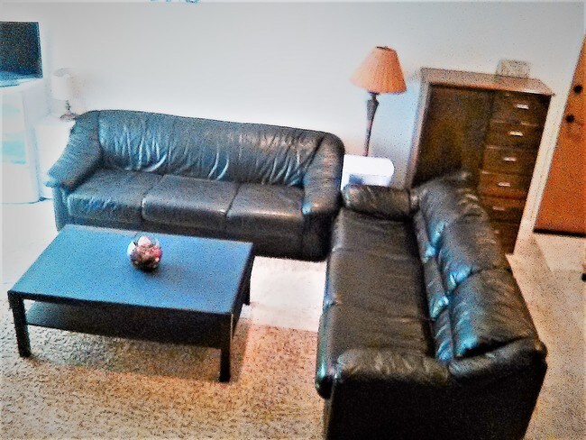 Living room - 1040 N Gardner St