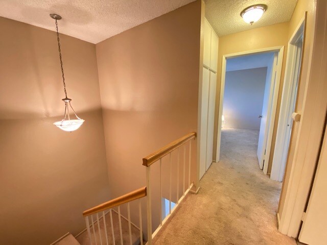 Building Photo - 8074 Woodland Dr