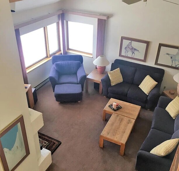 living room - 101 Blue Grouse Ln