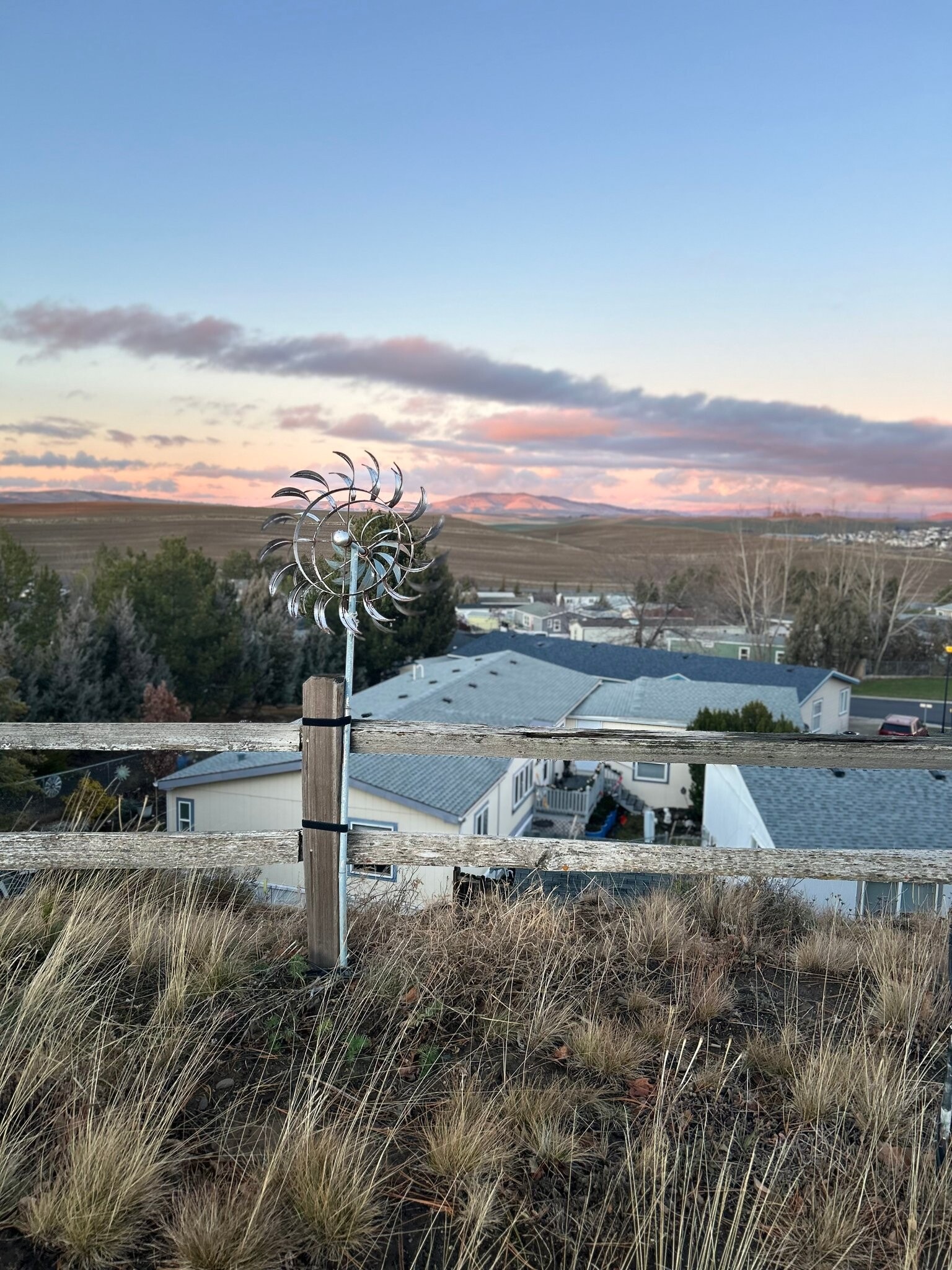 Building Photo - 1545 Capri Ct