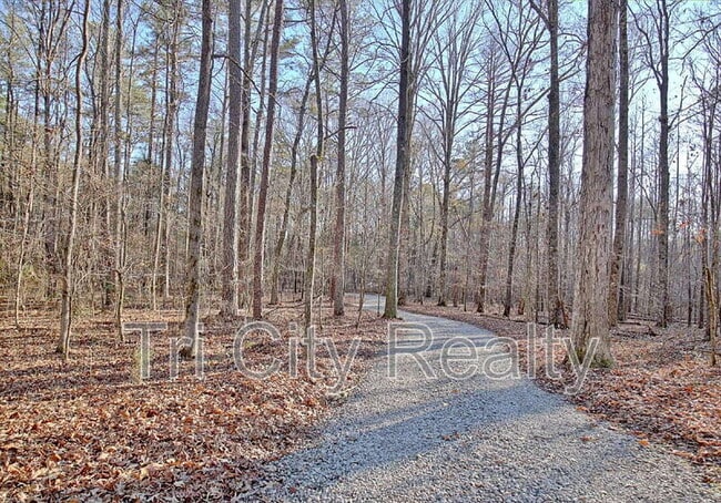 Building Photo - 175 Ridgeway Ct