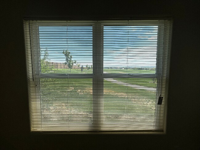 Building Photo - 6005 Chapel Hill Blvd