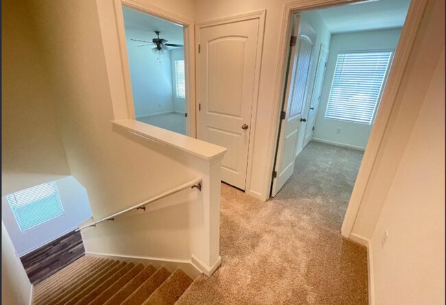 Building Photo - 229 Chelsea Pk Cir