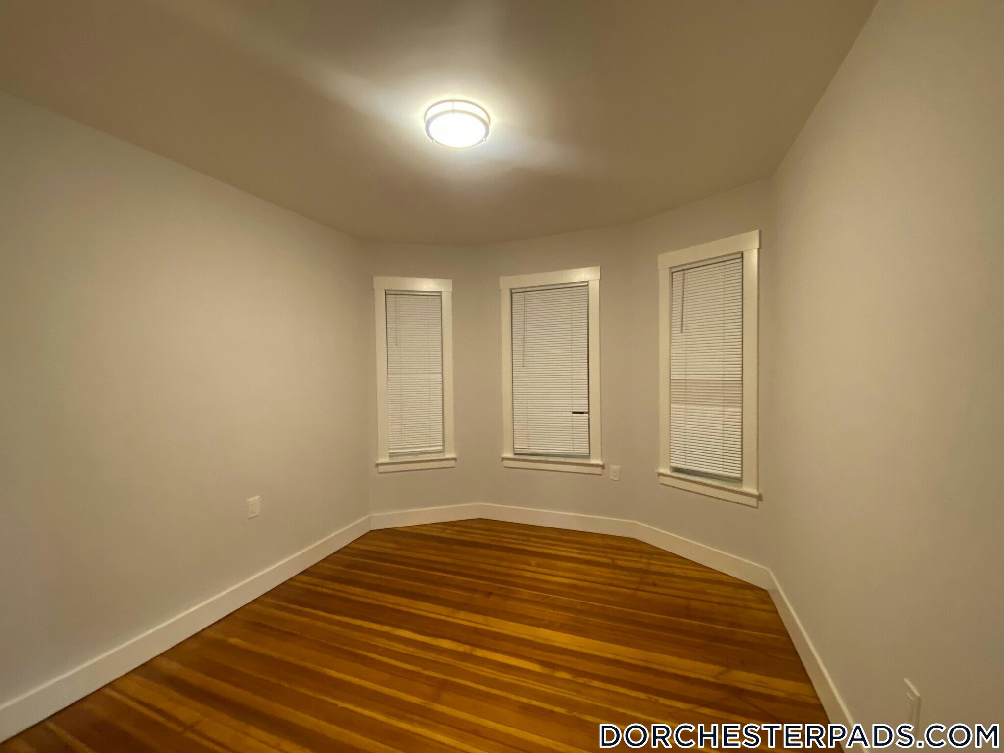 Building Photo - 147 E Cottage St