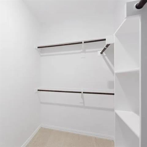 Building Photo - 1600 Gentle Night Dr