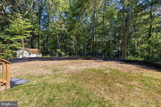 Building Photo - 703 Mattox Ave