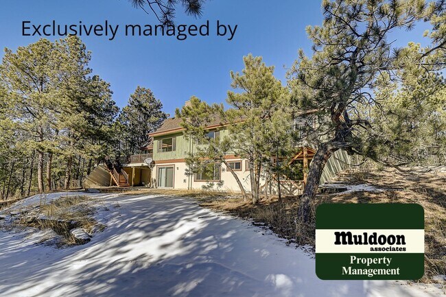 Building Photo - Coming soon, Stunning Black Forest Home!