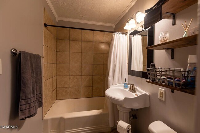 Building Photo - Updated North Knoxville Gem | Massive Fenced Yard & Prime Location!