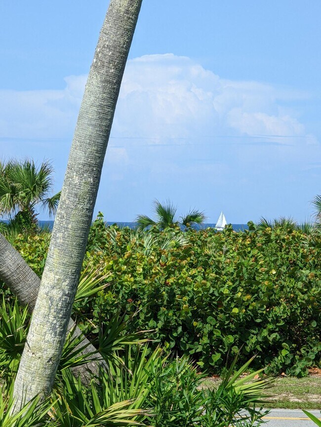 Building Photo - 4949 N Hwy A1A