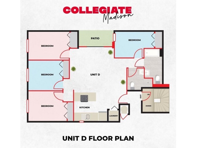 4 Bedroom 2 Bath - Style D - Collegiate Campus Apartments
