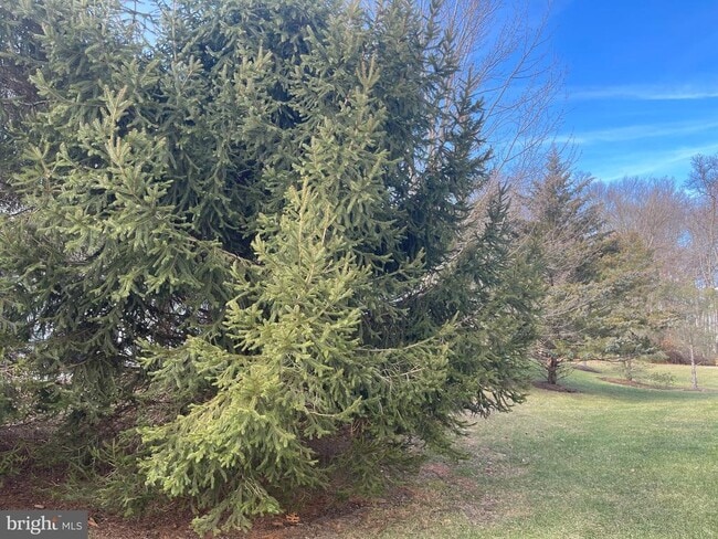 Building Photo - 57 Haddon Ct