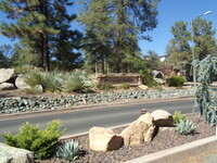 Building Photo - 1716 Alpine Meadows Ln