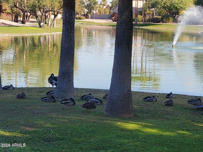 Building Photo - 1848 E Chilton Dr