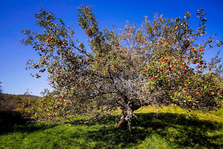 Building Photo - 1162 Sanford Hollow Rd