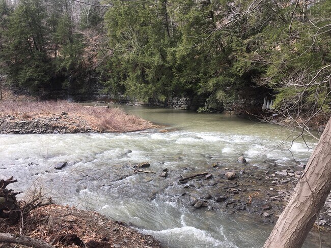 5 minutes to six miles creek - 12 Charles St