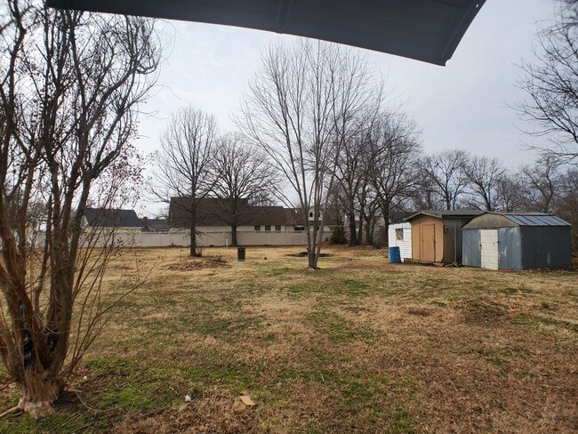 Backyard - 604 Walnut Ridge St