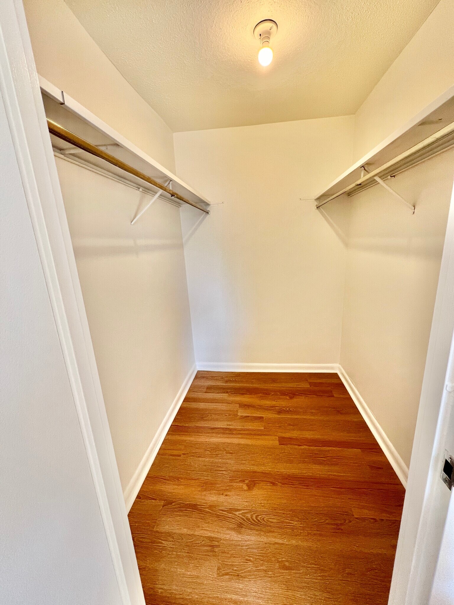 Building Photo - 1004 Paradise Rd