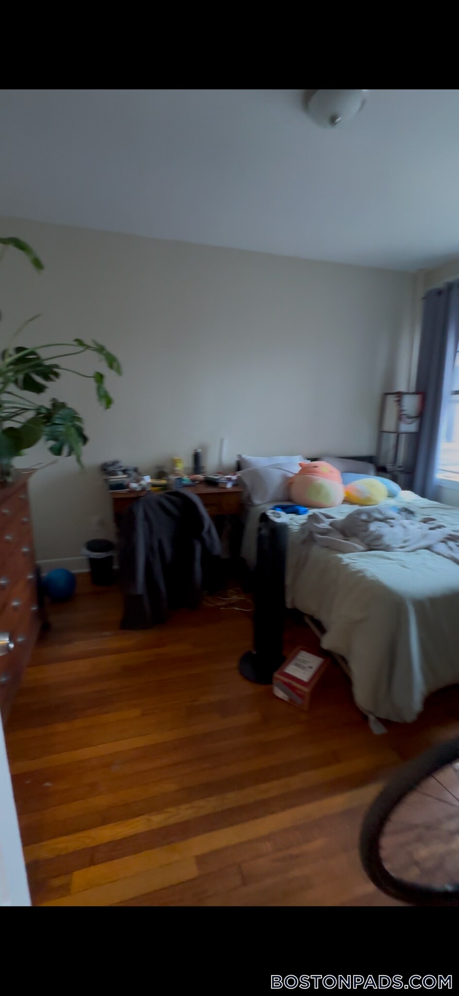 Building Photo - 56 Queensberry St