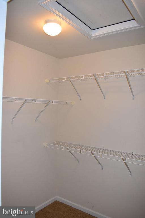 Building Photo - 15454 Gossoms Store Ct