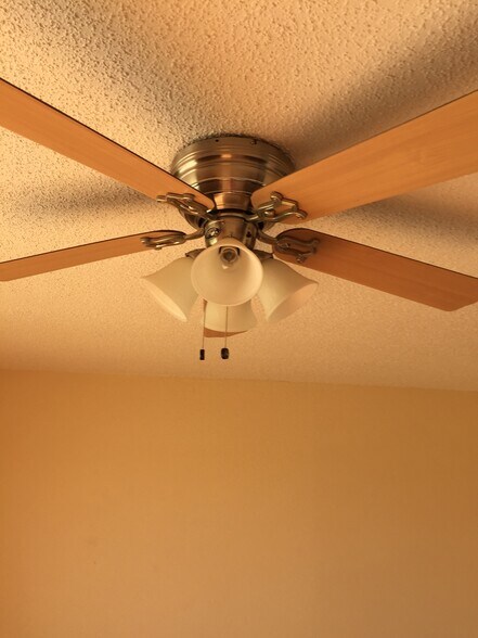 Ceiling fan in living room - 4123 Villa Dr