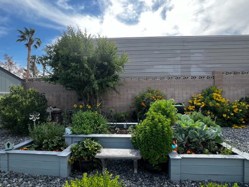 Building Photo - 1511 Rawhide Dr
