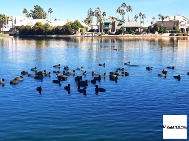 Building Photo - 3BR/2BA Rental in Gilberts Premier Lake Co...