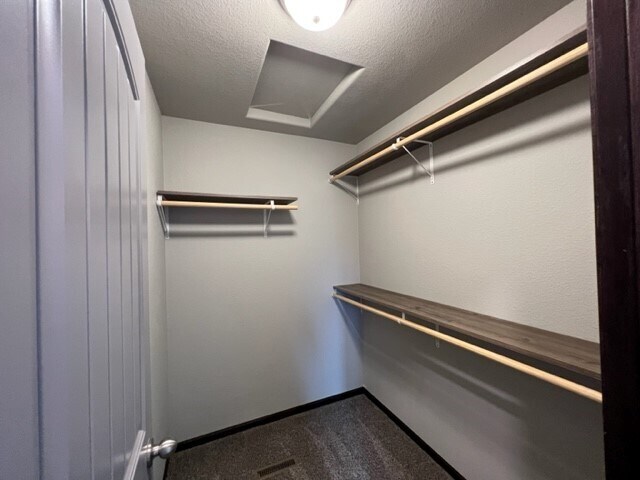 Building Photo - 4437 Beringer Dr