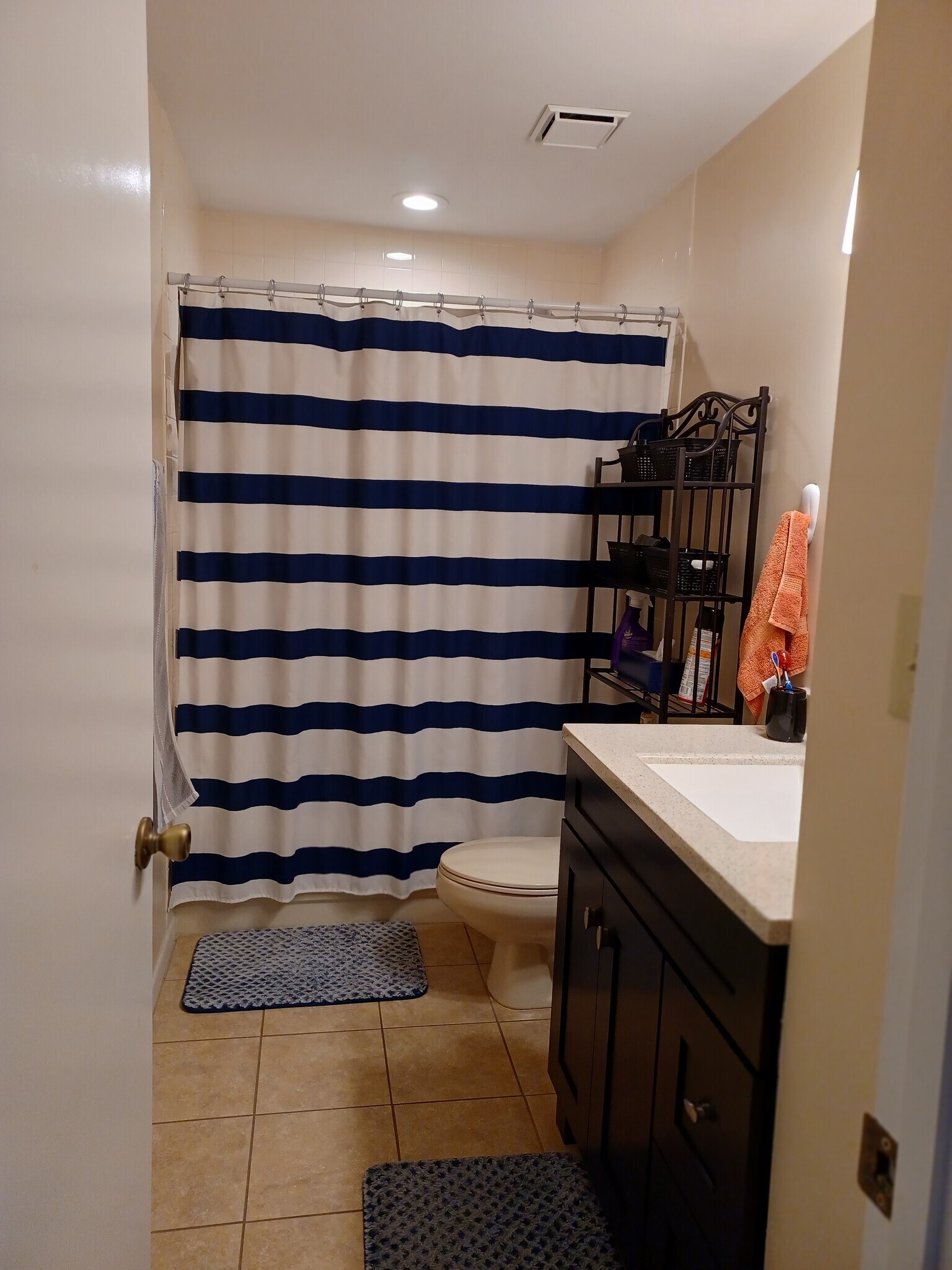 Bathroom - 1411 Hammock Pine Blvd