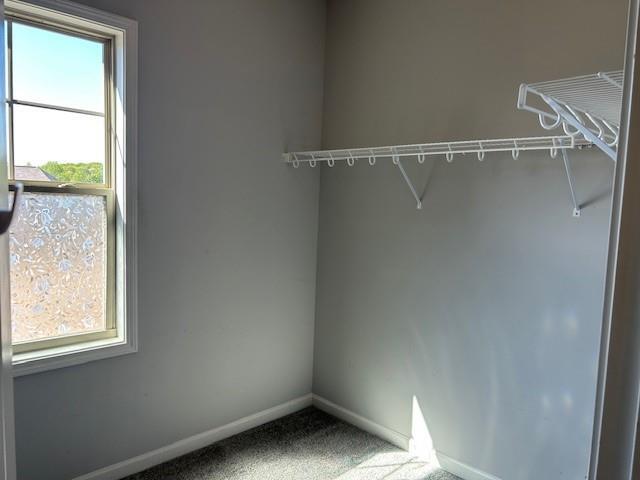 Building Photo - 7005 Br Crk Cv