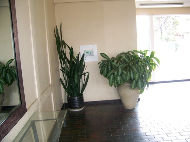 Building Photo - 550 W Regent St