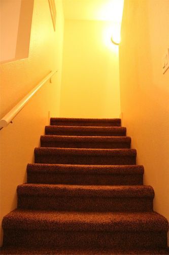 Building Photo - 10535 Mills Rd