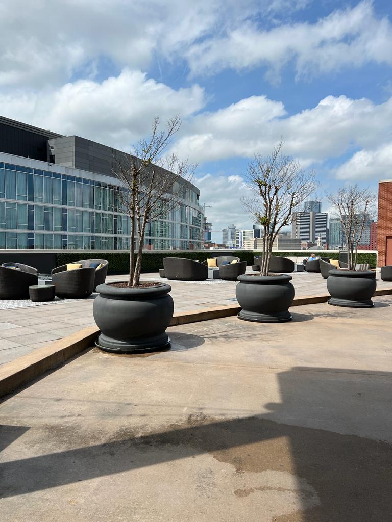 Building Photo - 600 12th Ave S