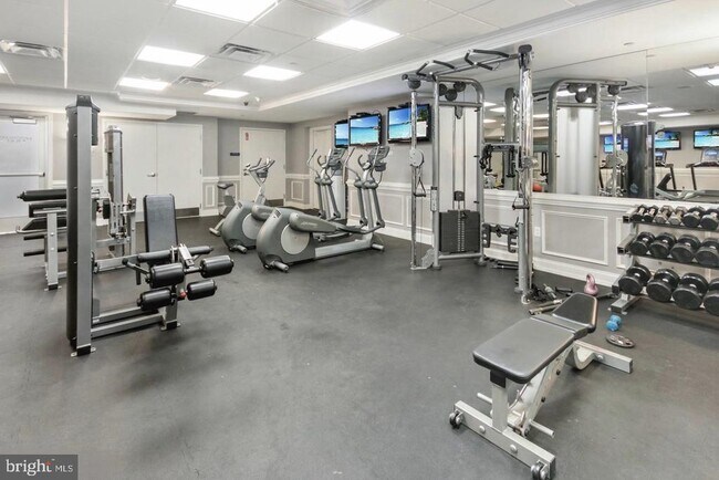 Building Photo - 206 Carson Terrace