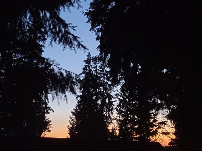 Building Photo - Totem Lake Cute 1bed/1bath ground floor Condo! $1695.00