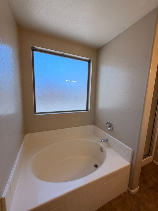 Building Photo - 3/2 Single story Avondale Home *Custom Paint* & Carpet in Beds Only!