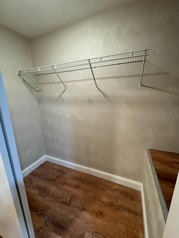 Building Photo - 1305 White Birch Ln