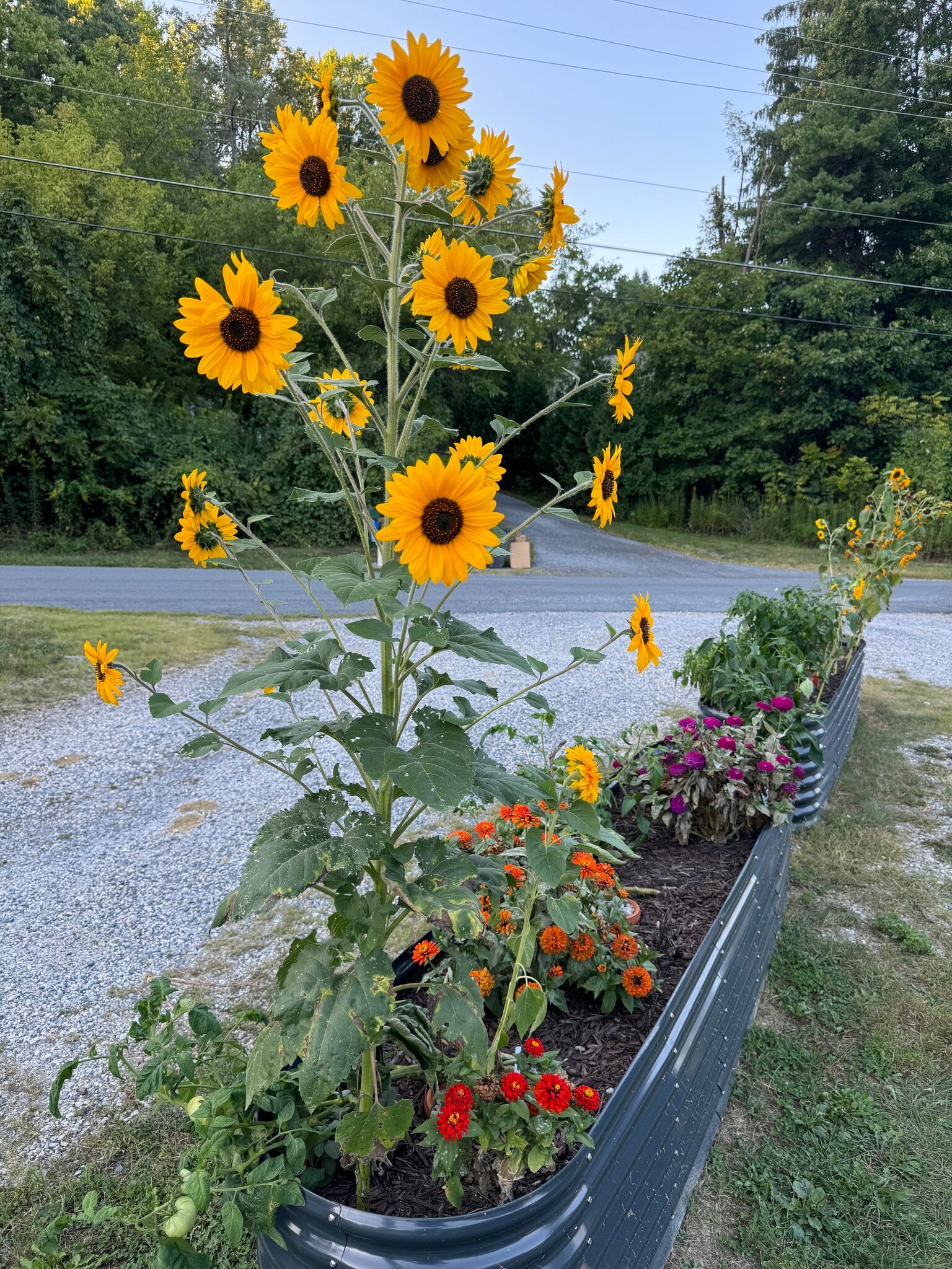 Building Photo - 2570 Sanger Ln